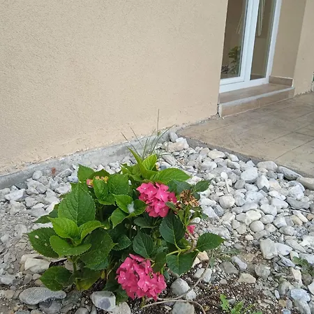 Apartment Sylias Village Skala Korinou