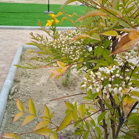 Sylias Village Apartamento Skala Korinou